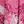 Flower Pink