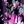 Floral Purple Black