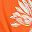 Orange Multicolor