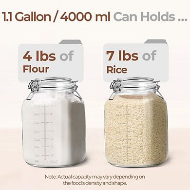 Great Ambitions Set of 2 Large 1.1 Gallon Glass Storage Jars with Airtight Lids