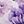 Full Purple
