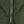 Khaki Green