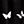 Black Butterfly