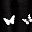 Black Butterfly