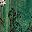 Green Flower
