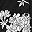 Black White Flowers