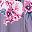 Grey Floral