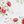 White Red Flower