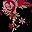 Pink Flower