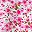 Pink White Flower