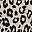 Brown Leopard