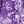 Floral Purple