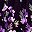 Purple Black Floral