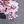 Black Blue Grey Floral