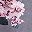 Black Blue Grey Floral