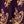 Floral Purple