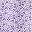 Garden Purple
