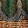 Green Feather
