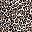 Brown Leopard