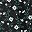 Black Daisy