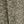 Parchment