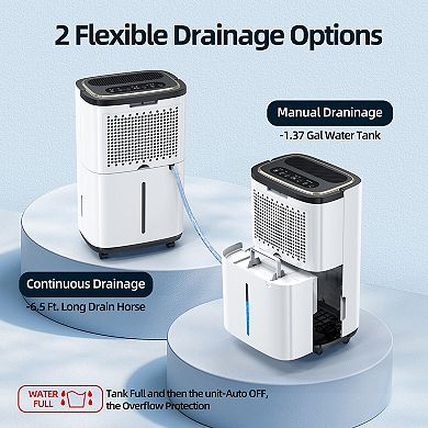 50 pt. 4500 sq.ft. Portable Dehumidifier in White, with Bucket, Drain Hose, 24H Timer, Child Lock