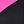 Black Fuchsia