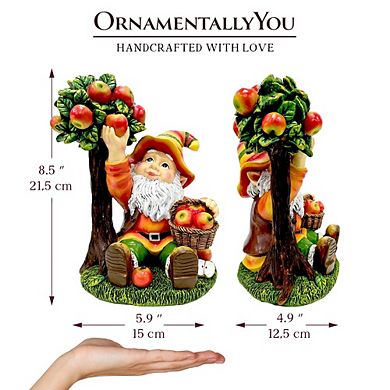 Johnny Apple Gnome Cute Garden Statue, 9" Orchid Picker Whimsical Dwarf Figurine