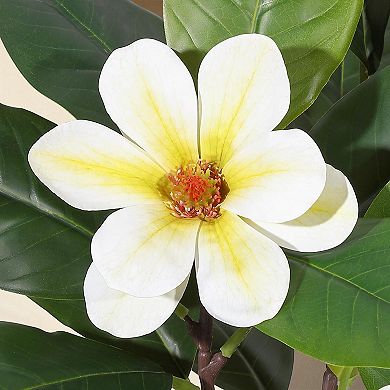 Faux Rubber Tree, Artificial Plants Indoor with Real Touch Leaves and Multi Trunks for Home Decor