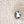 Beige Sliver