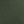 Forest Olive Green