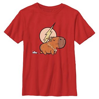 Boys 6-20 DC Comics Flash Capybara Graphic Tee