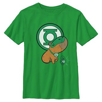 Boys 6-20 DC Comics Green Lantern Capybara Graphic Tee