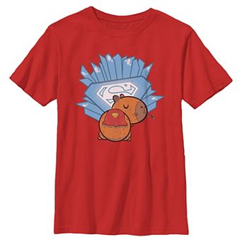 Boys 6-20 DC Comics Supercapybara Fortress Graphic Tee