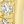Gold Tone