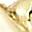 Gold Tone