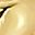 Gold Tone