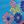 Blue Pink