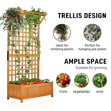 Metal Garden Planter with Trellis for Flowers, Vines and Vegetables