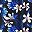 Blue Floral Print