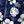 Floral Blue White