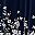 Navy White
