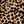 Brown Black Beige