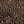 Brown Black