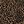 Brown Black