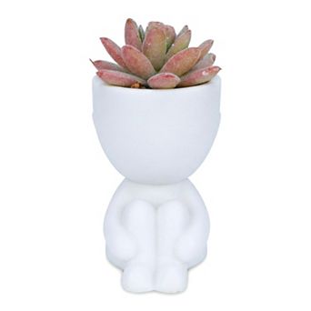 Realistic Artificial Succulents in Humanoid Pots Cute Fake Cactus People Shaped Planter for Home