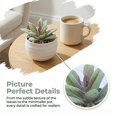 Small Artificial Succulents in White Pots Realistic Faux Potted Plants for Home Office Desk Decor