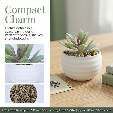 Small Artificial Succulents in White Pots Realistic Faux Potted Plants for Home Office Desk Decor