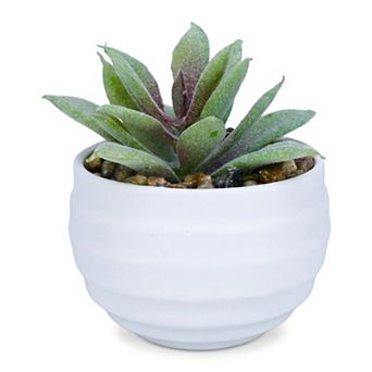 Small Artificial Succulents in White Pots Realistic Faux Potted Plants for Home Office Desk Decor