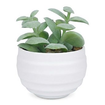 Small Artificial Succulents in White Pots Realistic Faux Potted Plants for Home Office Desk Decor